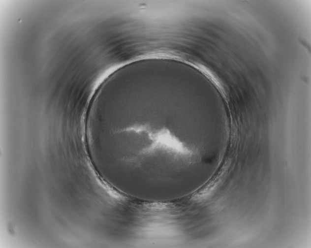 X0000094420862200711081135