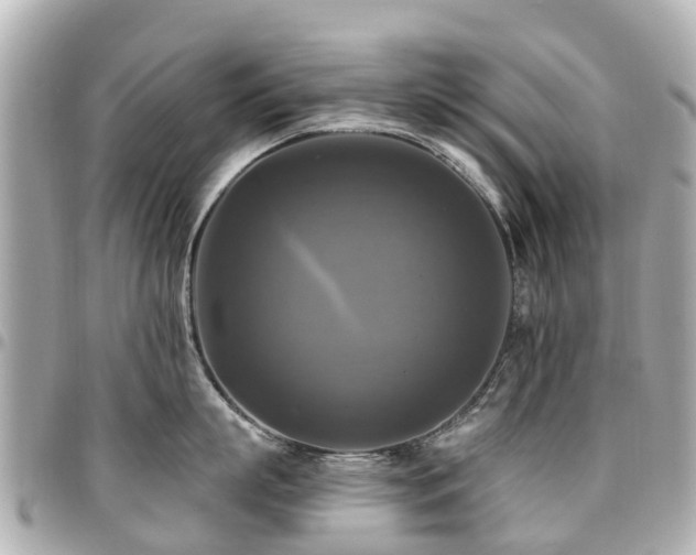 X0000094420863200711081135