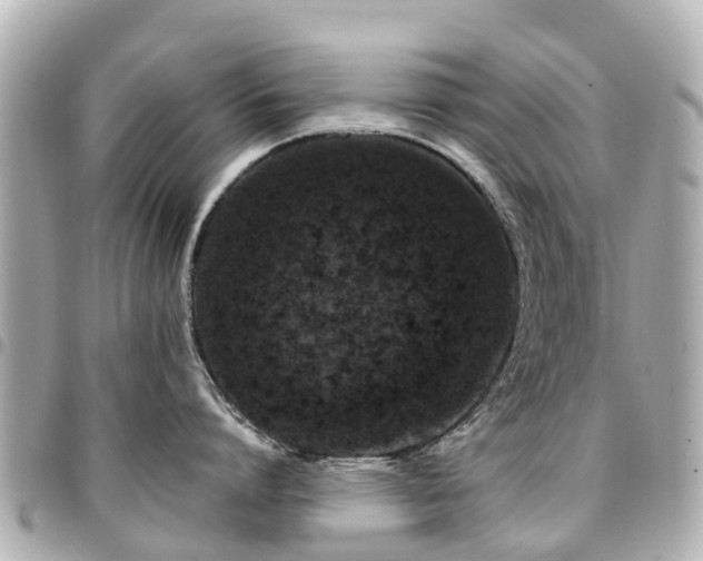 X0000094420864200711081135