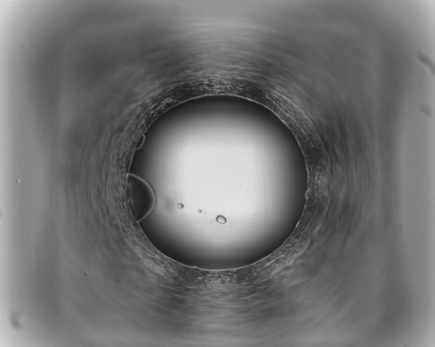 X0000094420865200711081135