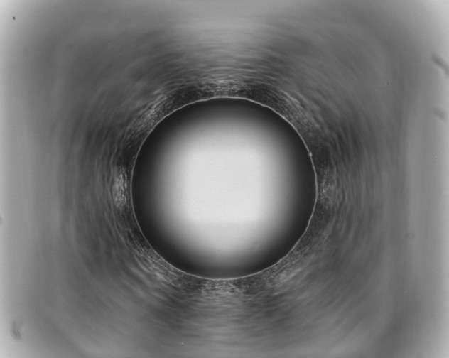 X0000094420866200711081135