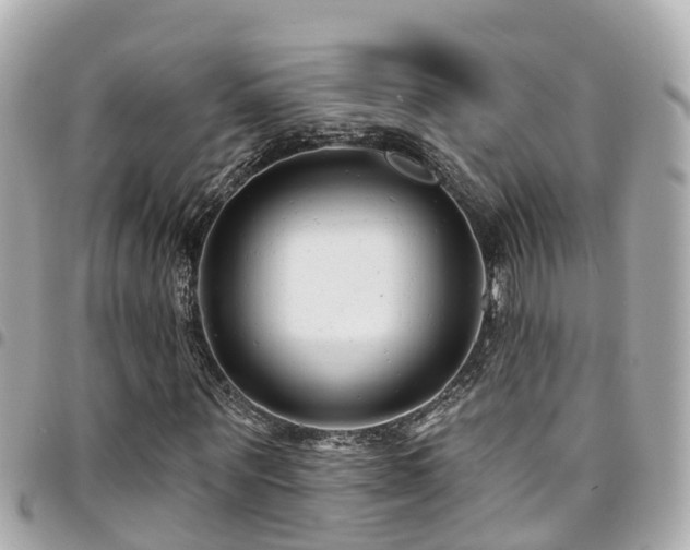 X0000094420867200711081134
