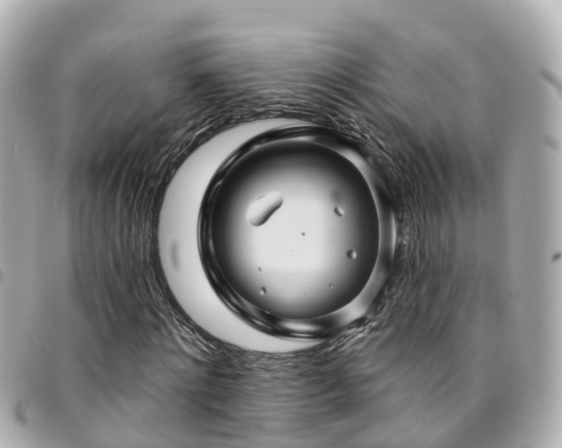 X0000094420868200711081134