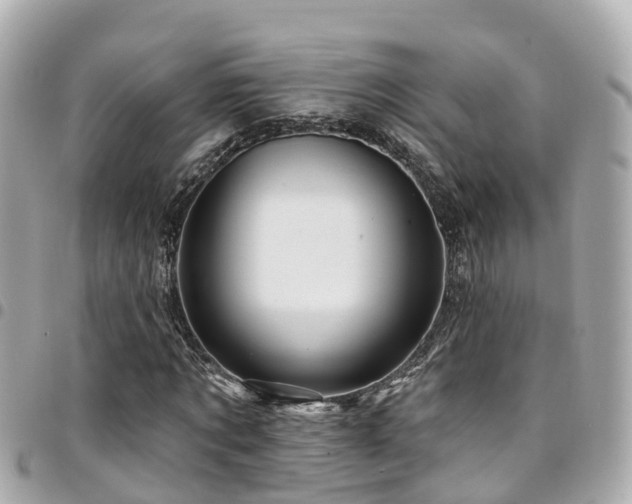 X0000094420869200711081134