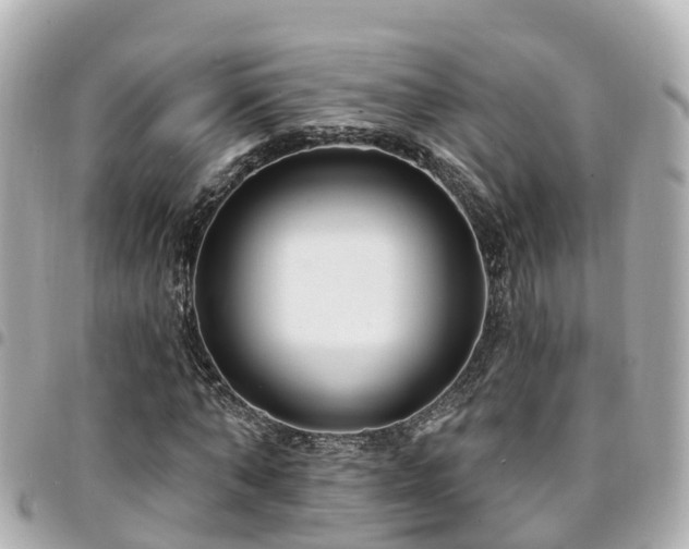 X0000094420870200711081134