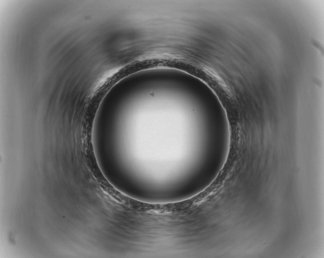 X0000094420872200711081134