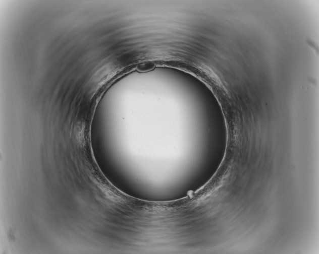 X0000094420873200711081134