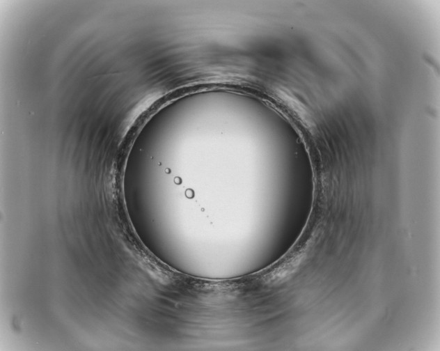 X0000094420875200711081134