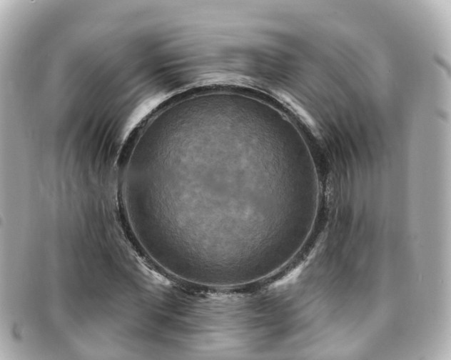 X0000094420877200711081134