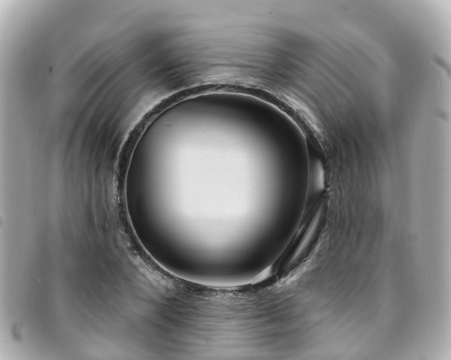 X0000094420880200711081134