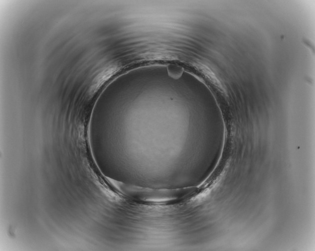 X0000094420881200711081134