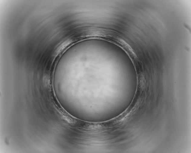 X0000094420882200711081134