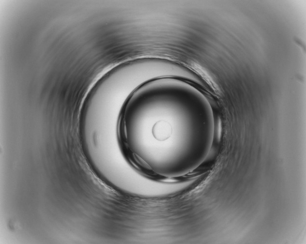 X0000094420884200711081134