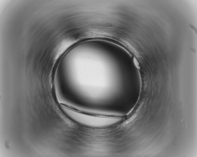 X0000094420885200711081134