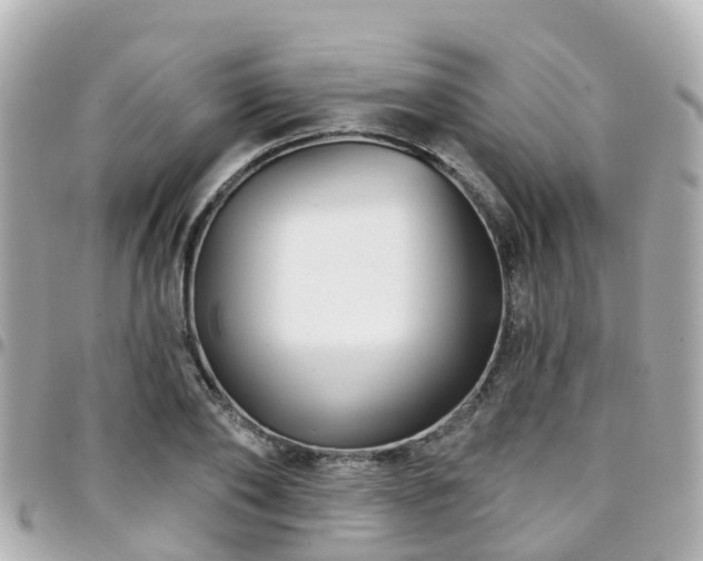 X0000094420886200711081134