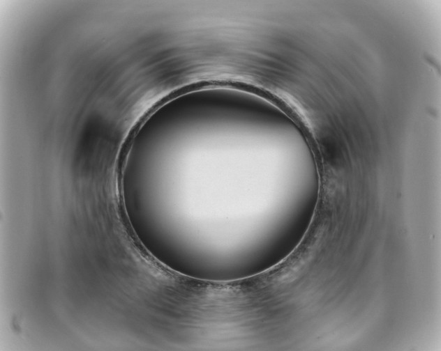 X0000094420887200711081134