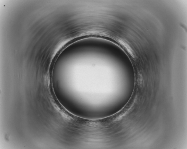 X0000094420888200711081134