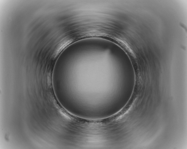 X0000094420889200711081134