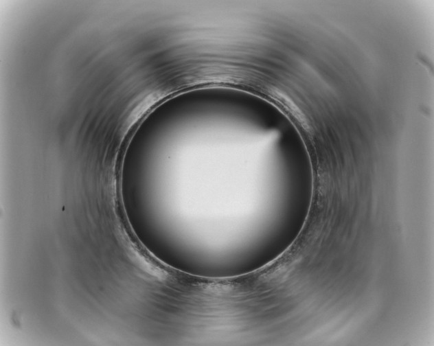 X0000094420890200711081134