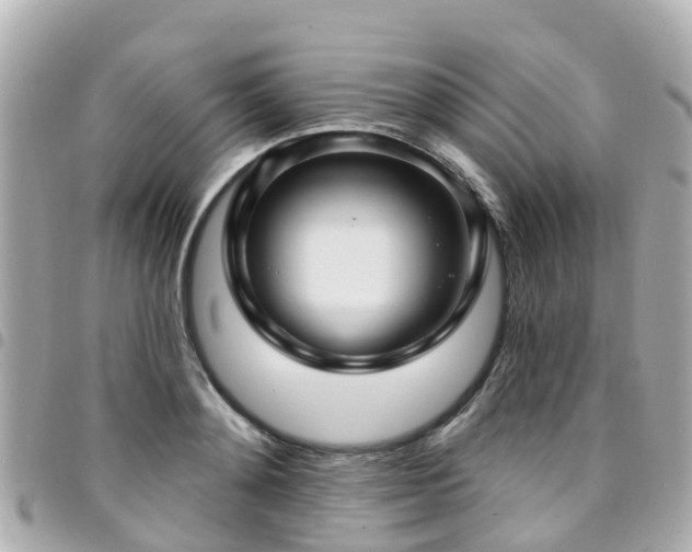 X0000094420892200711081134