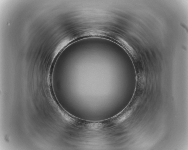 X0000094420893200711081134