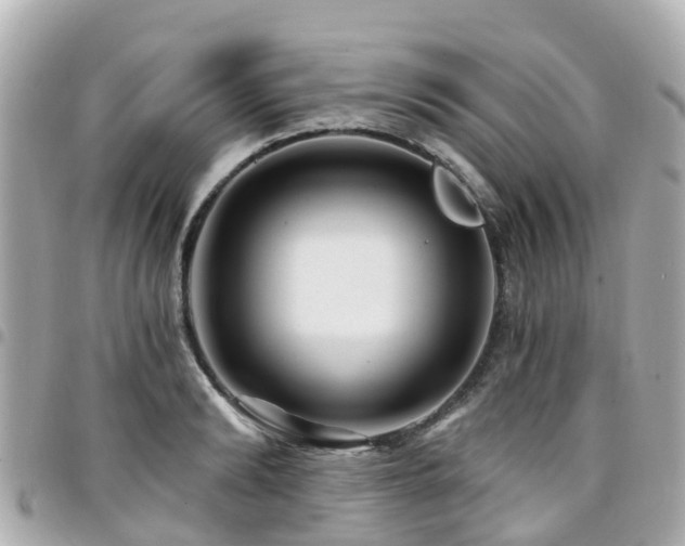 X0000094420894200711081134