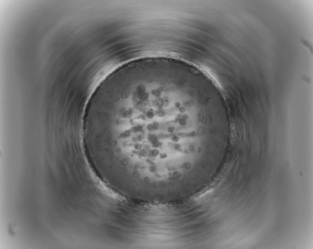 X0000094420895200711081134