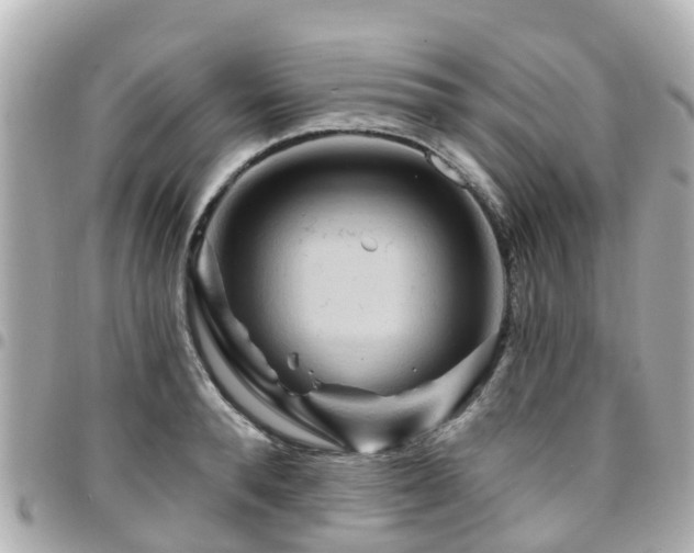X0000094420896200711081134