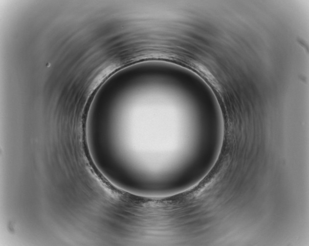 X0000094420898200711081134