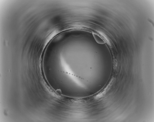 X0000094420899200711081134