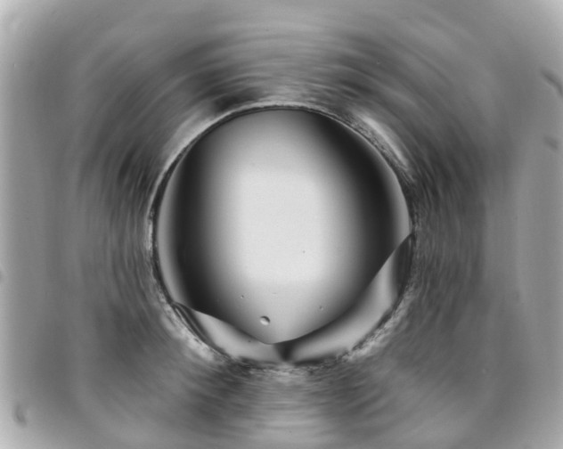 X0000094420900200711081134