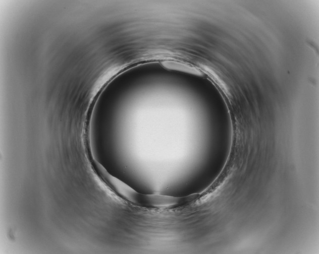 X0000094420901200711081134