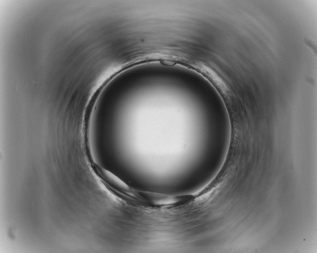 X0000094420902200711081134