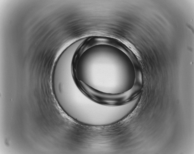 X0000094420904200711081134