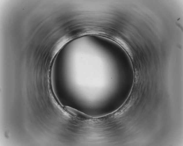 X0000094420906200711081134