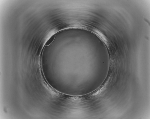 X0000094420907200711081134