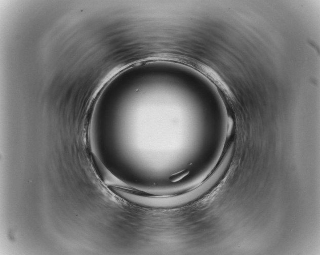 X0000094420908200711081134