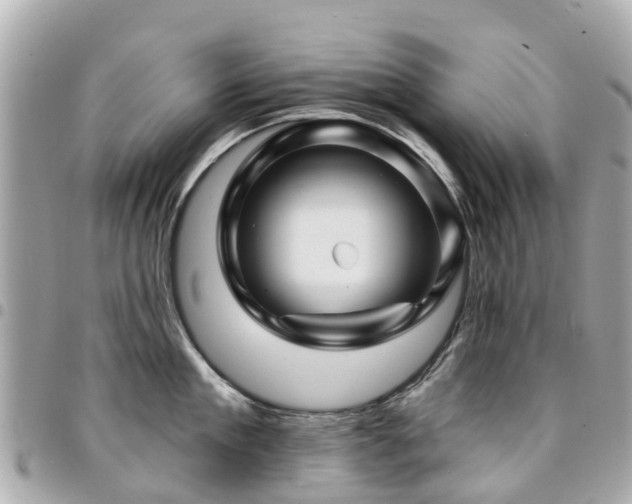 X0000094420909200711081134