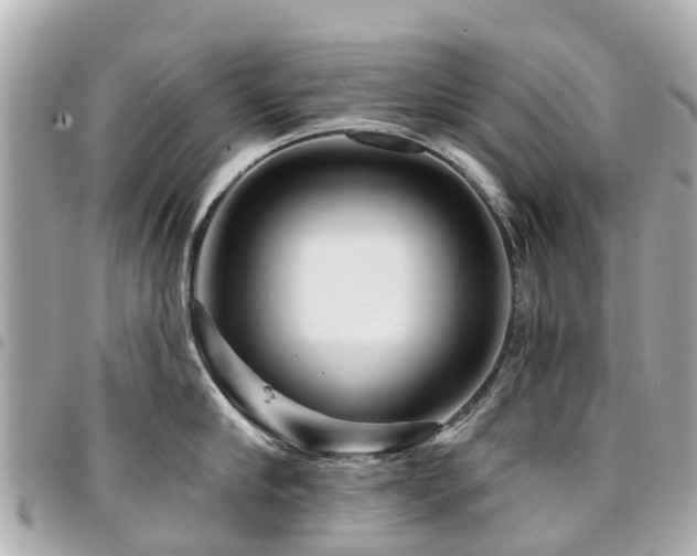 X0000094420910200711081134