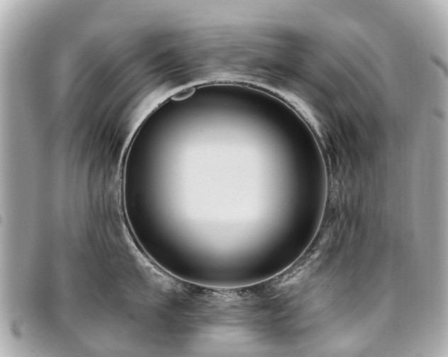 X0000094420911200711081134