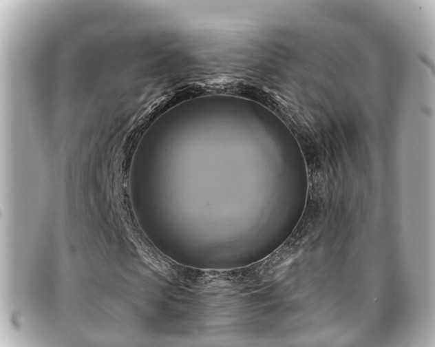 X0000094420913200711081133