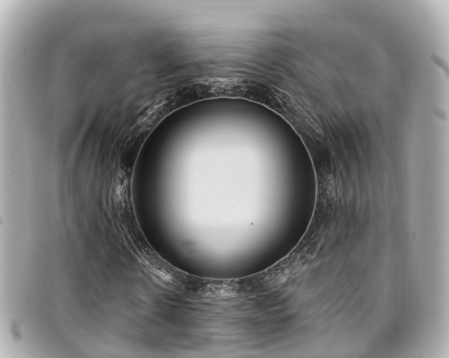 X0000094420914200711081133