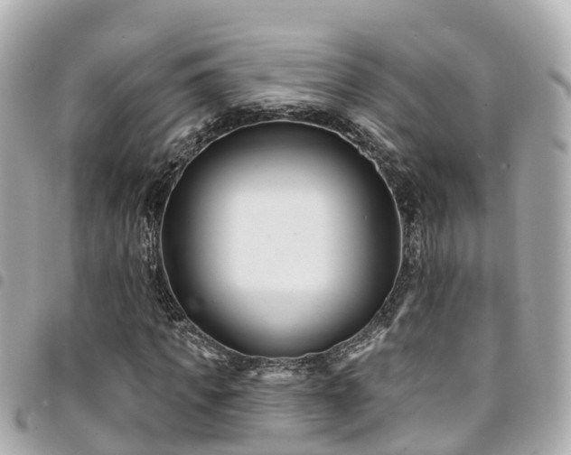 X0000094420917200711081133