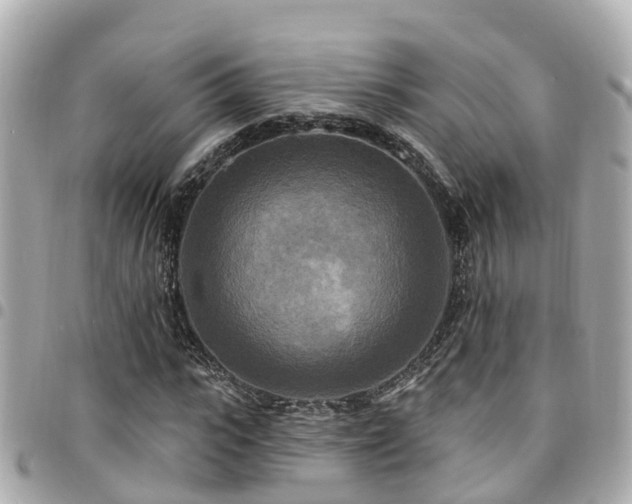 X0000094420919200711081133