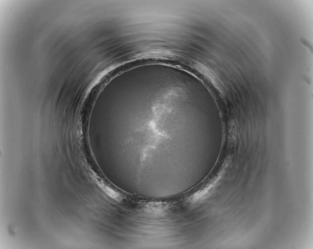X0000094420923200711081134