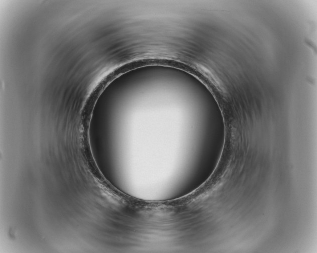 X0000094420926200711081134
