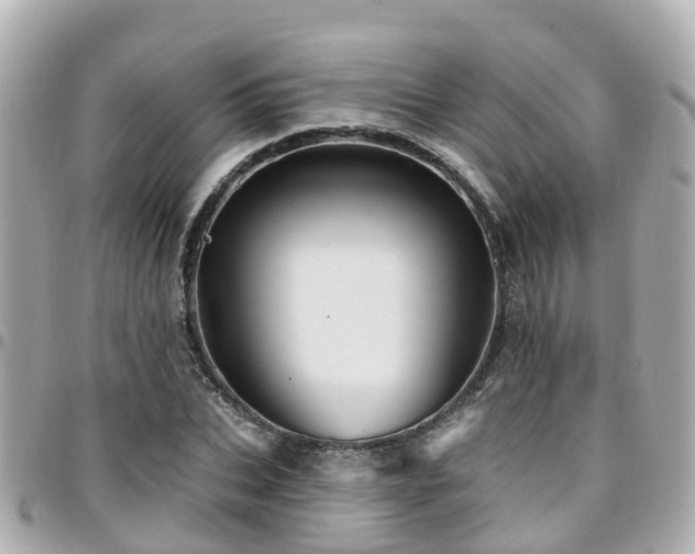 X0000094420927200711081134