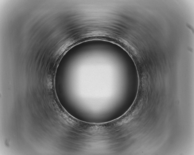 X0000094420929200711081134