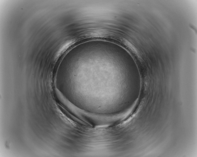 X0000094420930200711081134