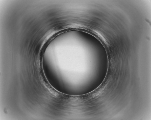 X0000094420931200711081134